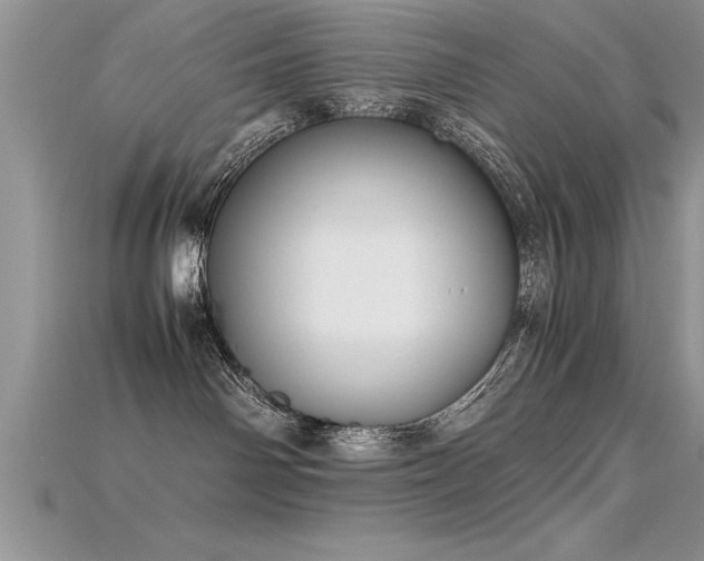 X0000115660142200911121221