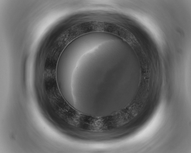 X0000115660143200911121221