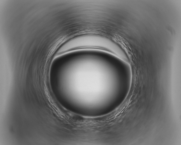 X0000115660145200911121221