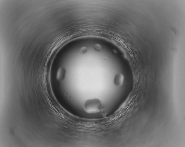 X0000115660146200911121221