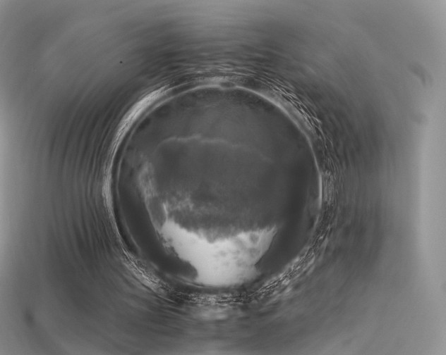 X0000115660147200911121221