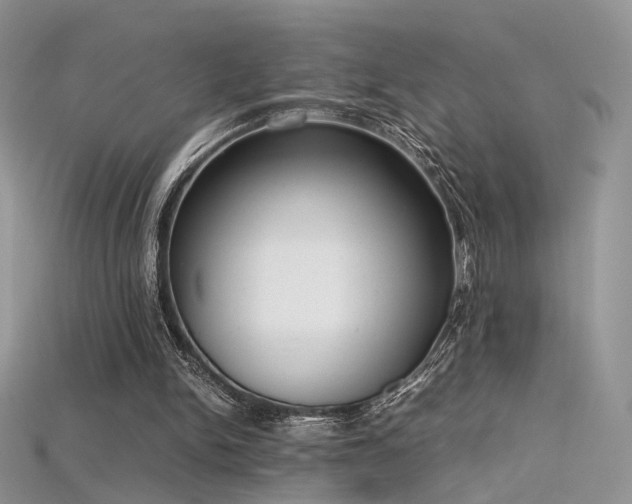 X0000115660150200911121221