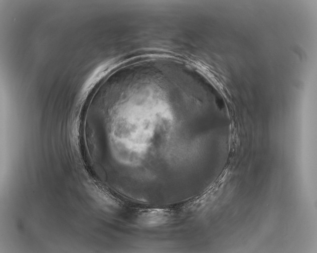 X0000115660151200911121221