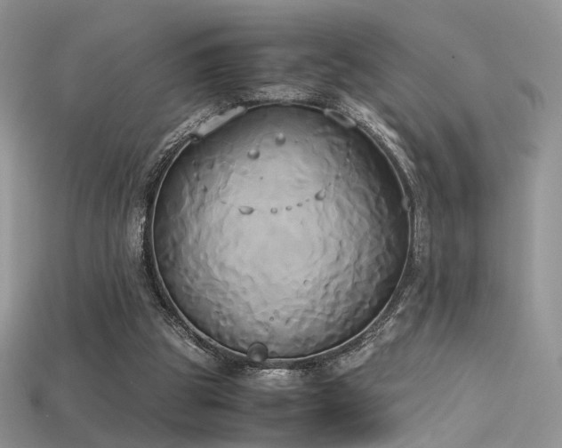 X0000115660153200911121221
