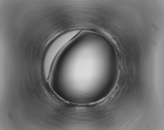 X0000115660154200911121221