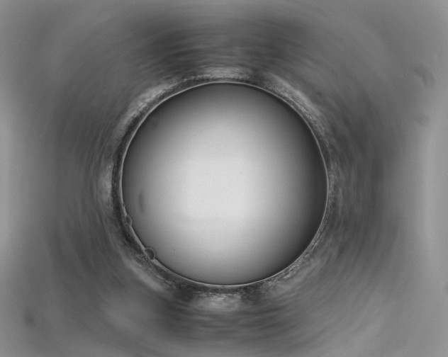 X0000115660155200911121221