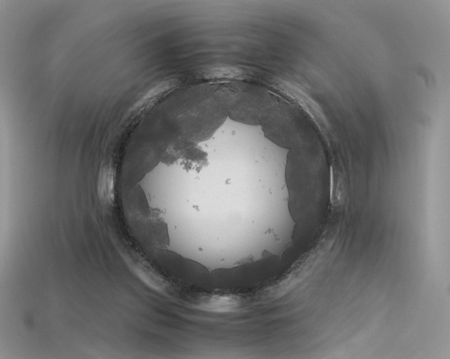 X0000115660157200911121221