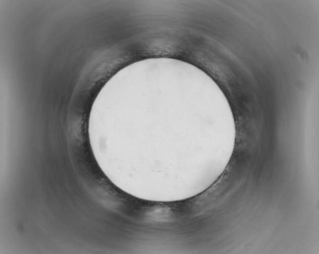 X0000115660162200911121221