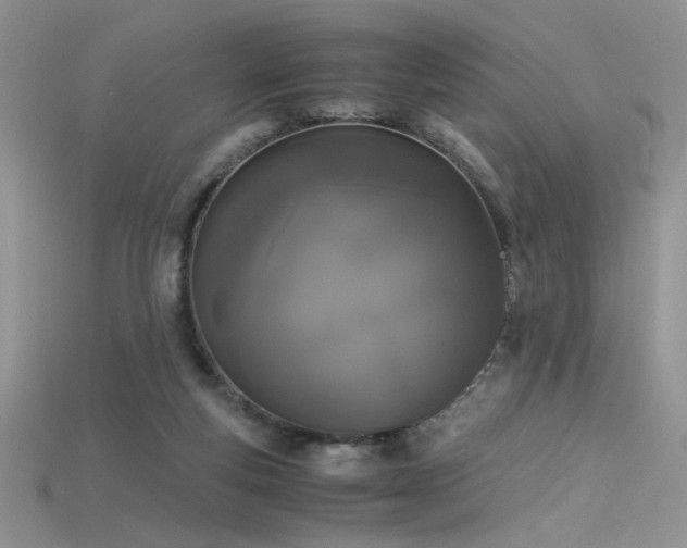 X0000115660163200911121221