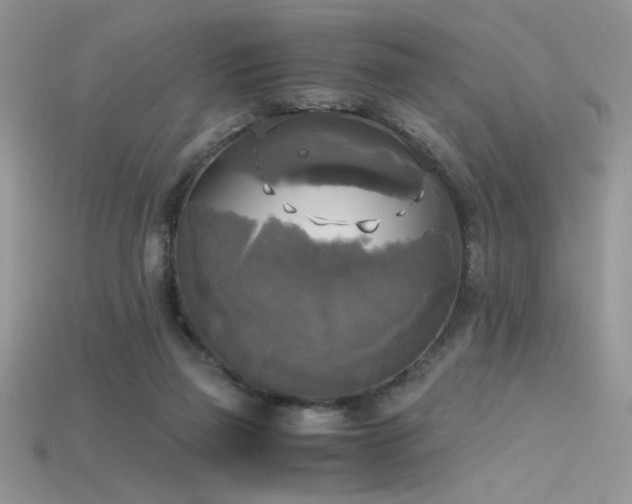 X0000115660165200911121221