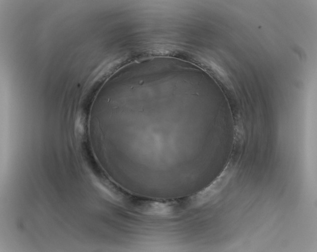 X0000115660166200911121221