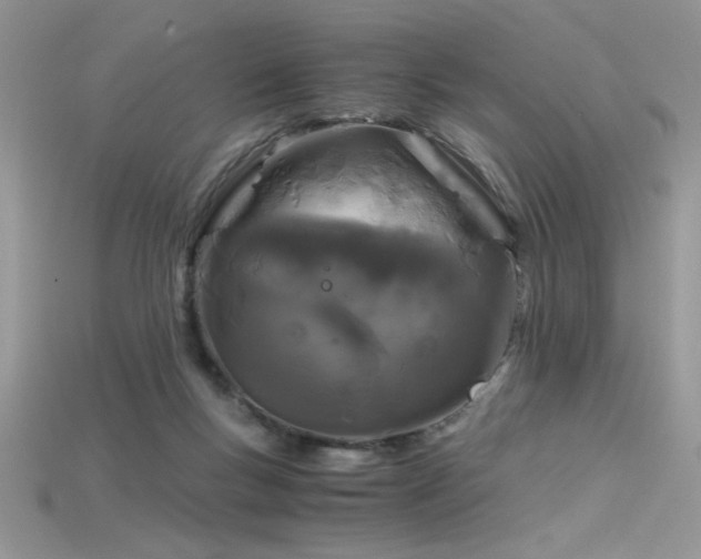 X0000115660167200911121221
