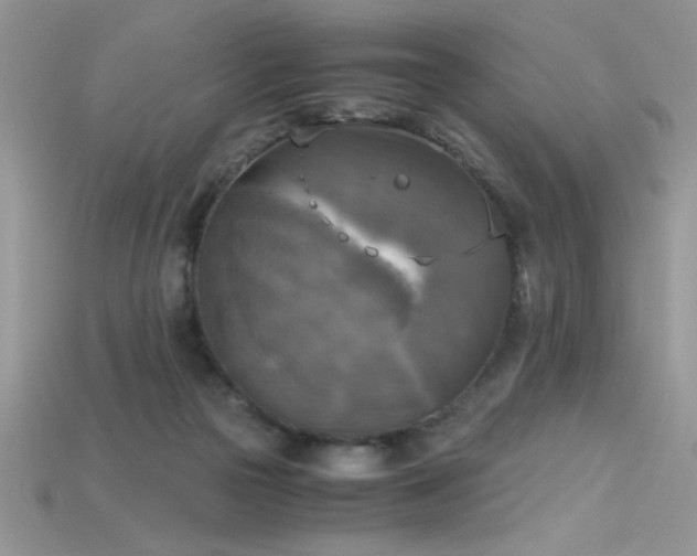 X0000115660169200911121221