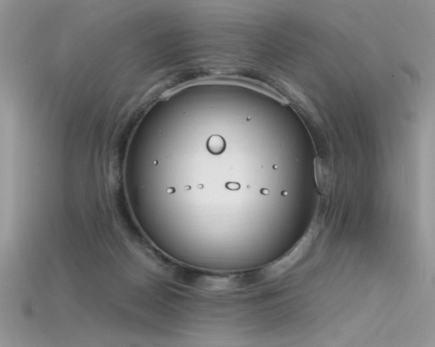 X0000115660170200911121221