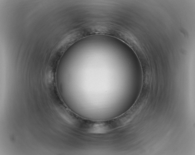 X0000115660173200911121221