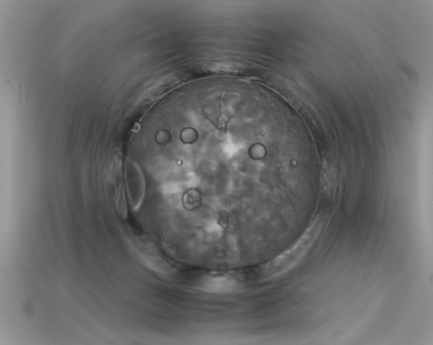 X0000115660175200911121221