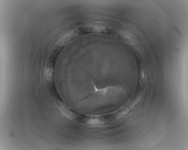 X0000115660177200911121221