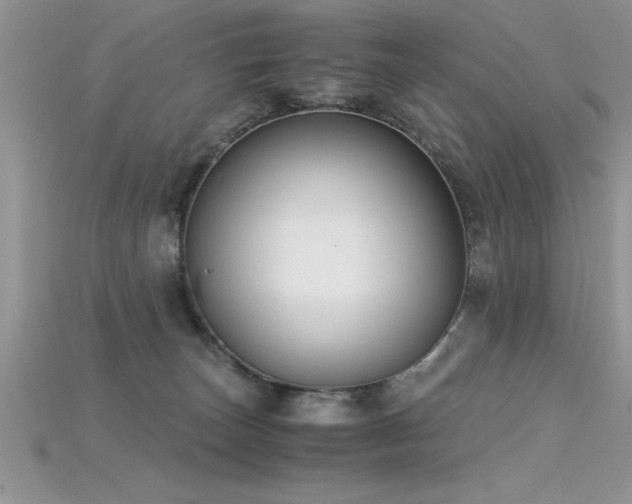 X0000115660179200911121221