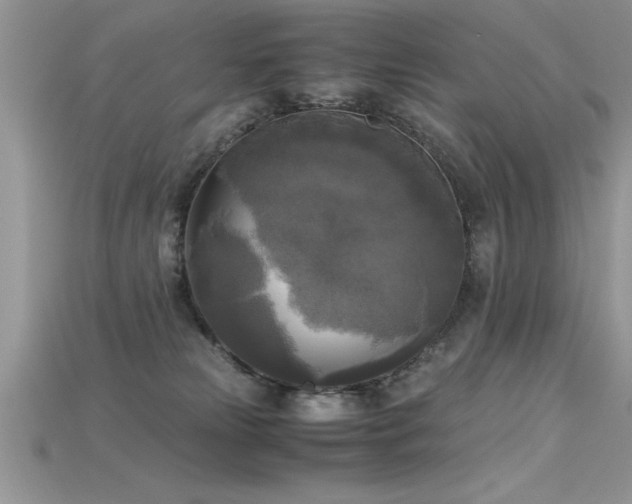 X0000115660181200911121221