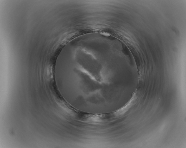 X0000115660182200911121221