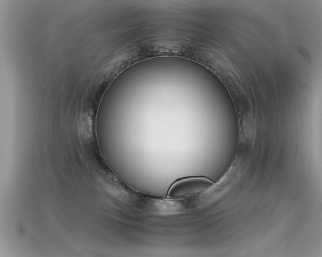X0000115660183200911121221