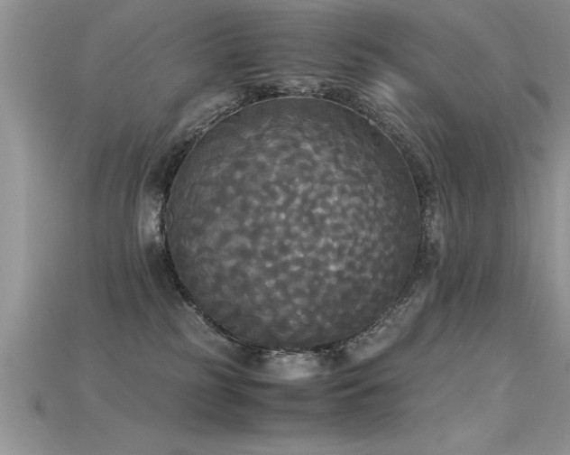X0000115660185200911121221