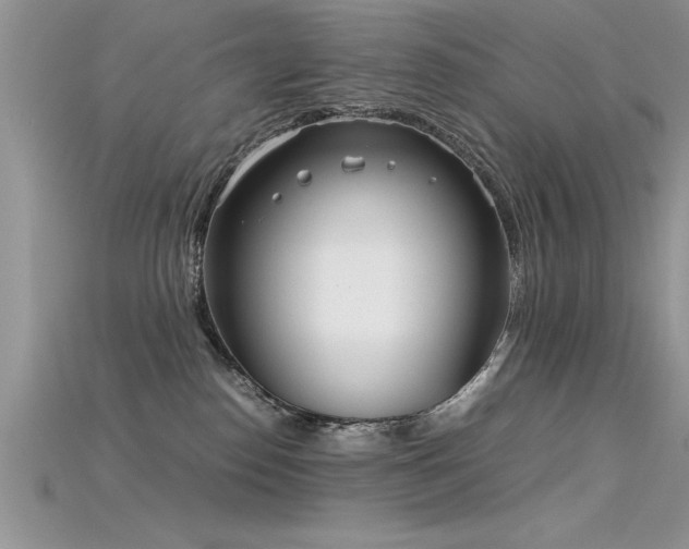 X0000115660186200911121221