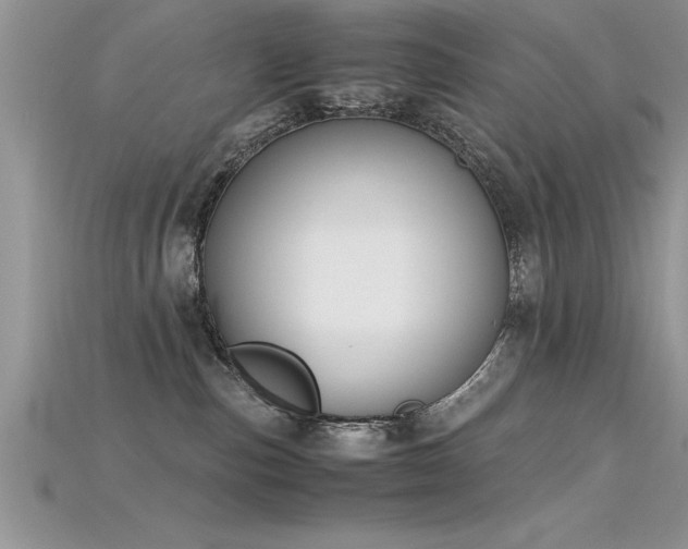 X0000115660187200911121221