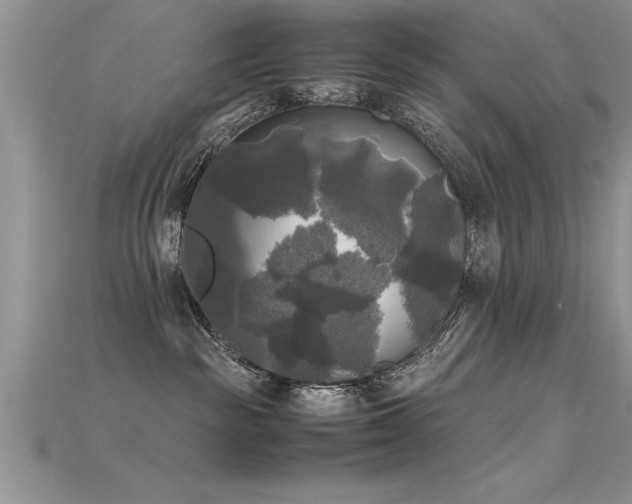 X0000115660189200911121221
