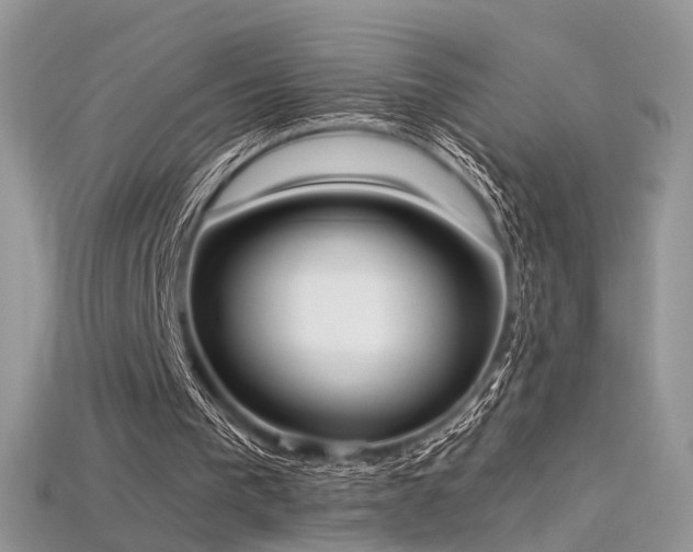 X0000115660193200911121221
