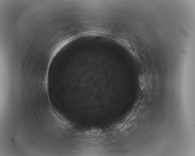 X0000115660196200911121221