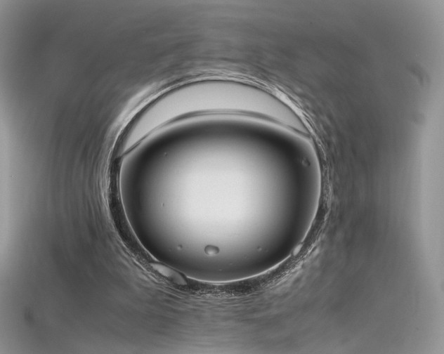 X0000115660199200911121221