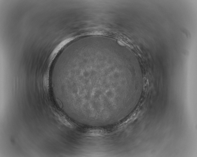X0000115660200200911121221