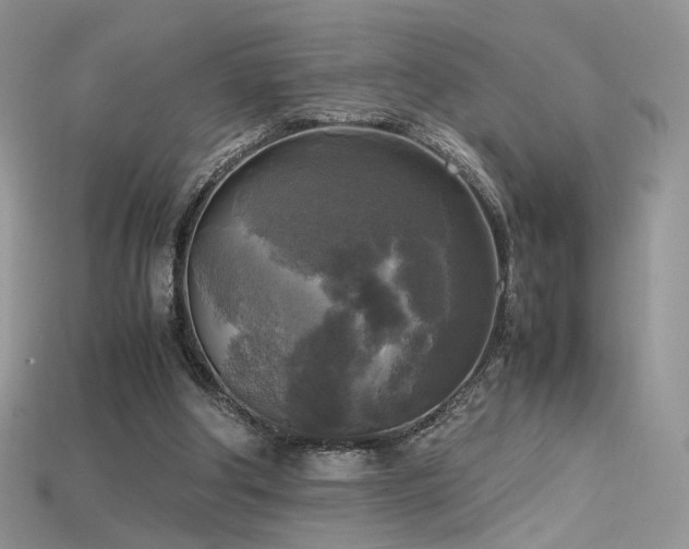 X0000115660202200911121221