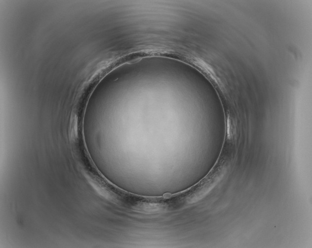 X0000115660205200911121220