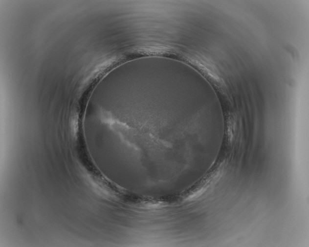 X0000115660206200911121220