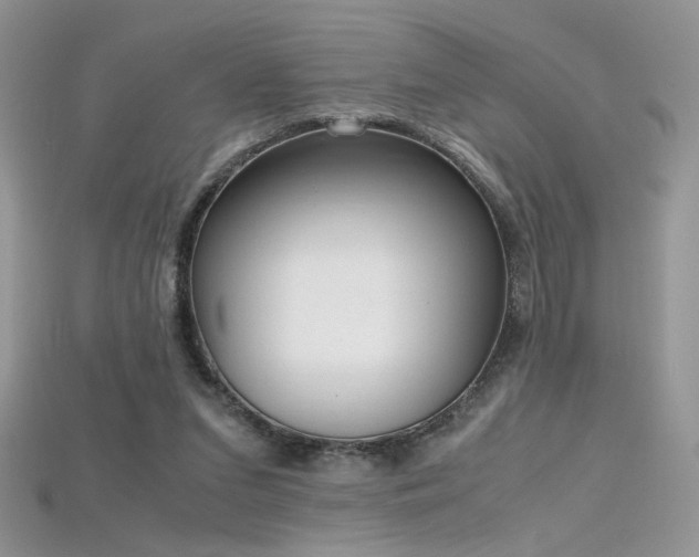 X0000115660207200911121220