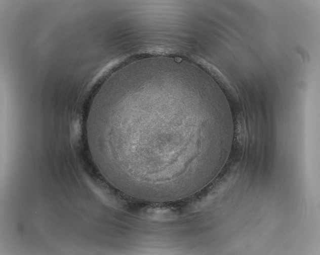 X0000115660208200911121220