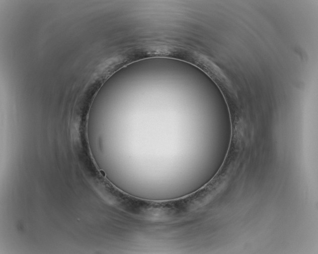 X0000115660209200911121220
