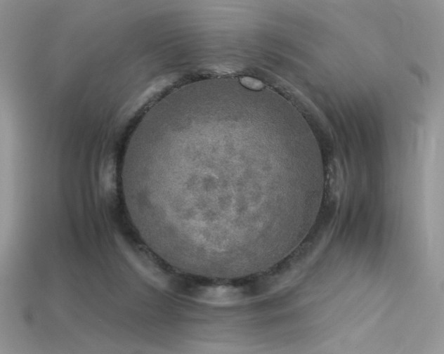 X0000115660212200911121220