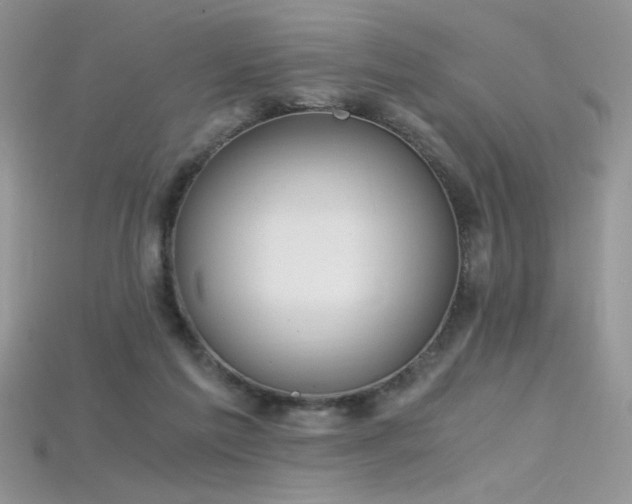 X0000115660213200911121220