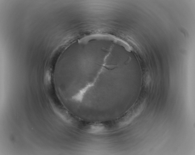X0000115660214200911121220