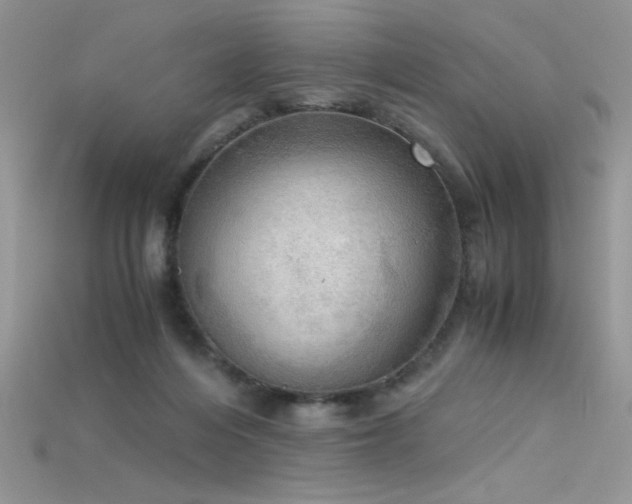 X0000115660216200911121220