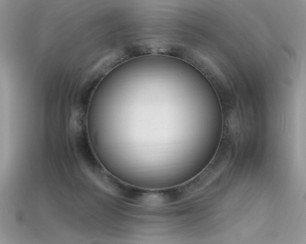 X0000115660218200911121220