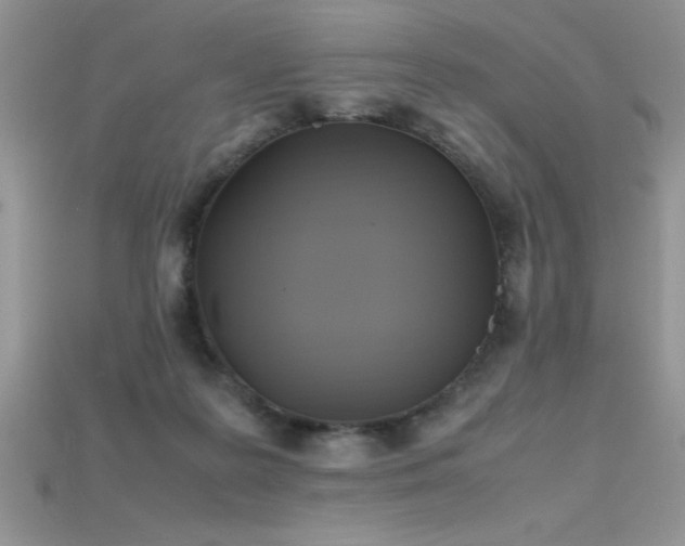 X0000115660219200911121220