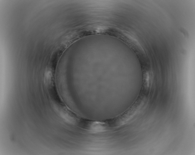 X0000115660222200911121220