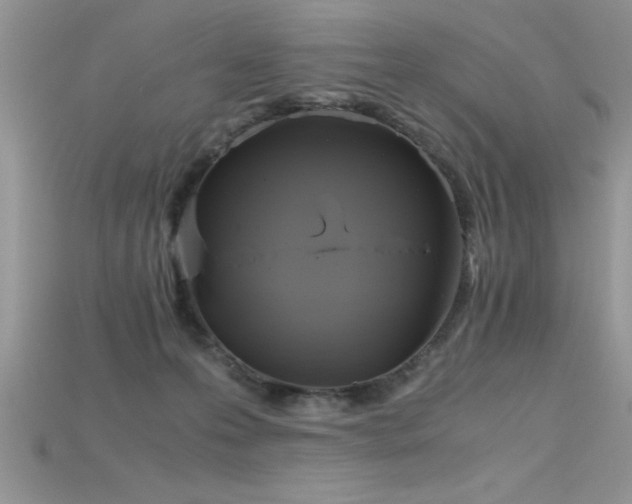 X0000115660223200911121220