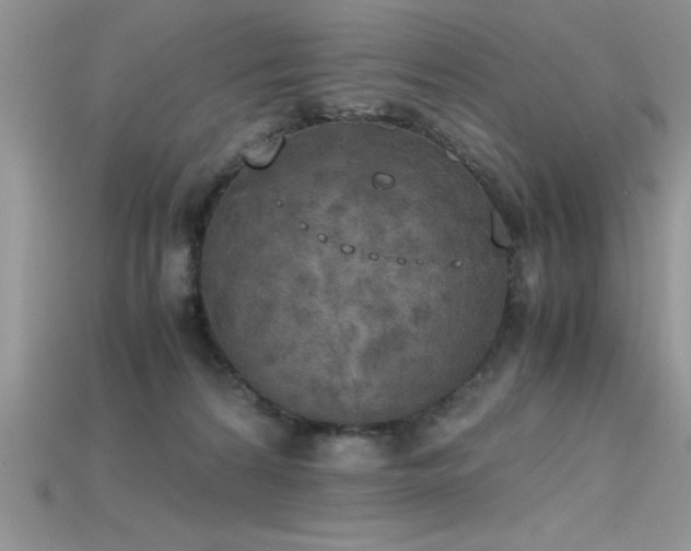 X0000115660224200911121220