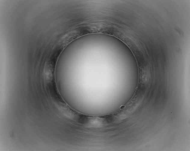 X0000115660226200911121220