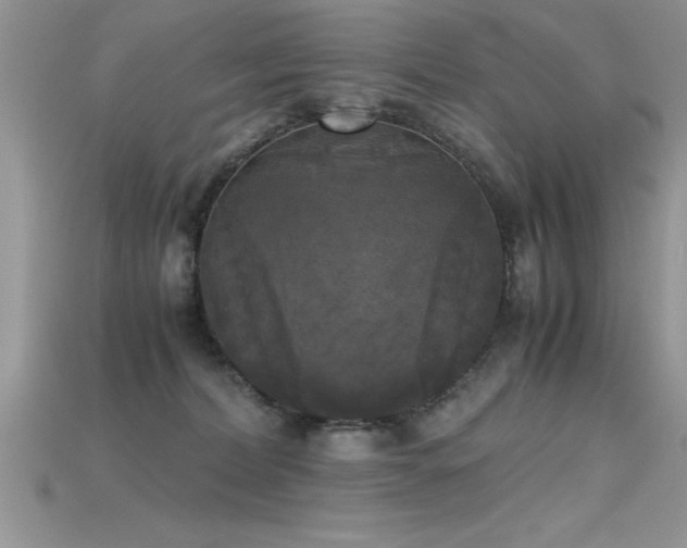 X0000115660228200911121220
